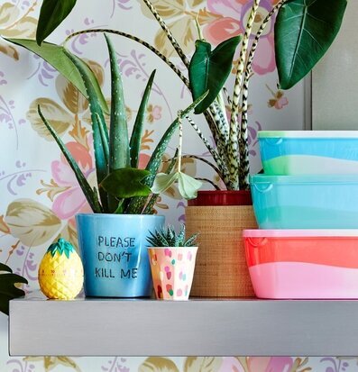 Mugg Dapper Dot Print från Rice på hylla med dekorationer