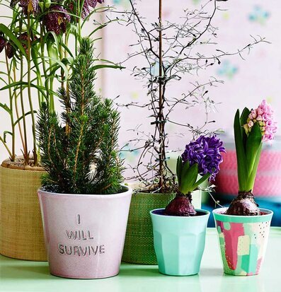 Mugg Splash Print från Rice i färgglad grupp med plantor