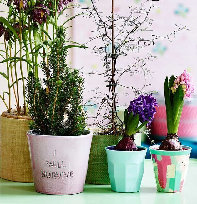 Mugg Splash Print från Rice i färgglad grupp med plantor